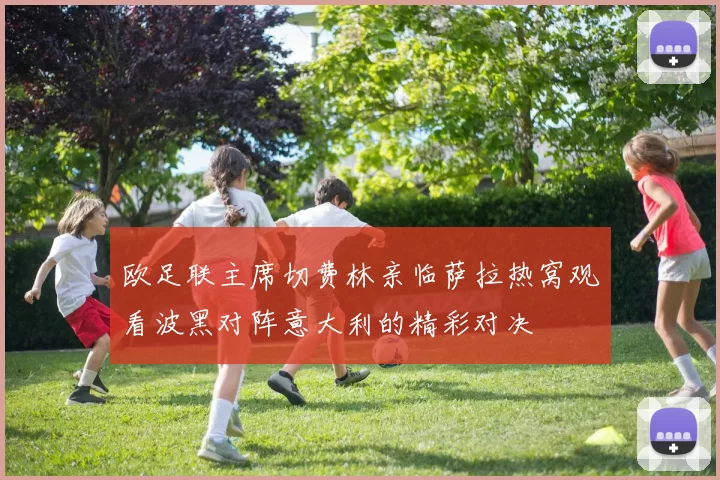 欧足联主席切费林亲临萨拉热窝观看波黑对阵意大利的精彩对决